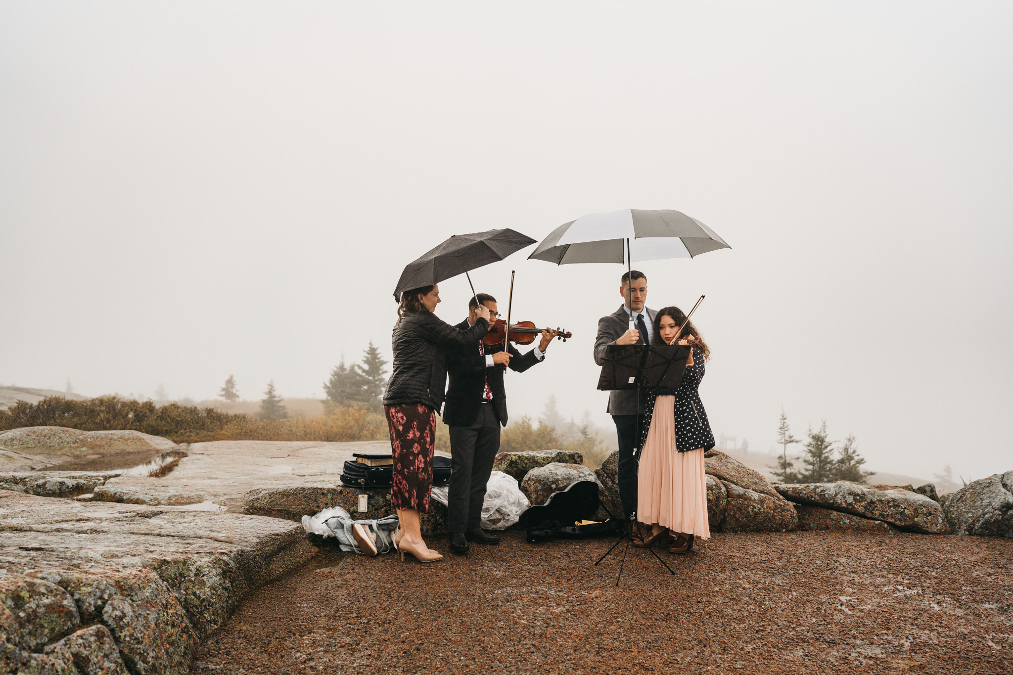 Emotional Acadia elopement with family gathered on Cadillac Mountain summit